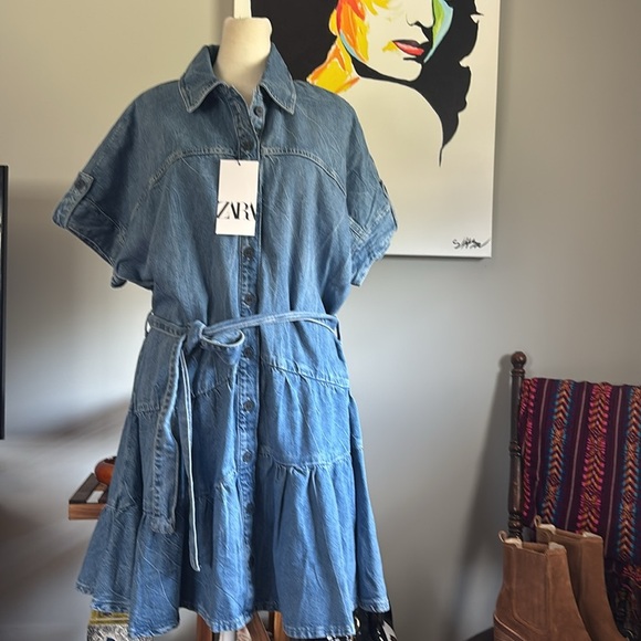 Zara Collection Denim Button-Up Dress - Picture 7 of 9